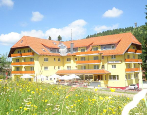 Гостиница Burg Hotel Feldberg  Фельдберг